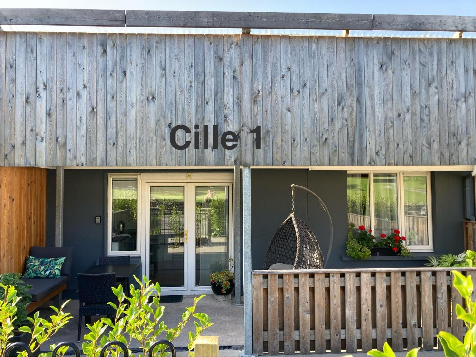 Cille Apartments, Ballyferriter Village Екстериор снимка